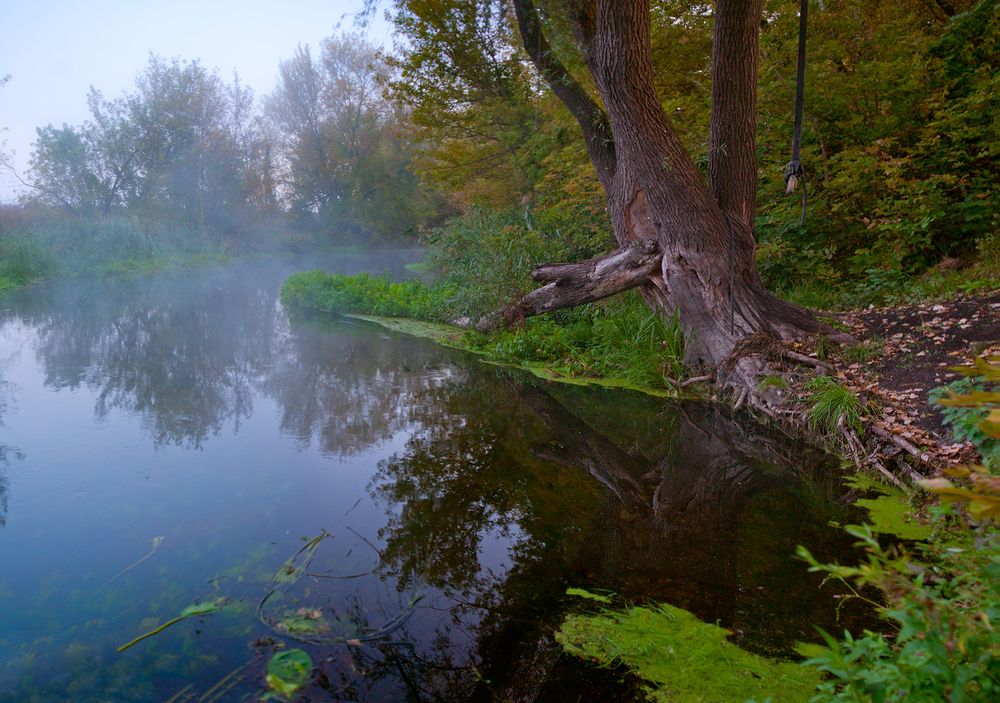 Photograph by Рукин Иван