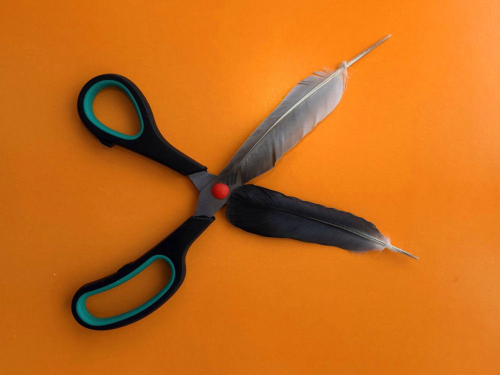 Photograph by Марина Виноградова