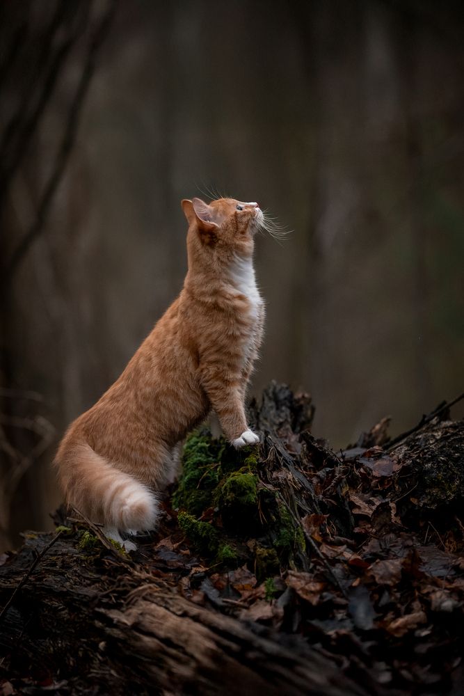 Photograph by Dina Damotseva