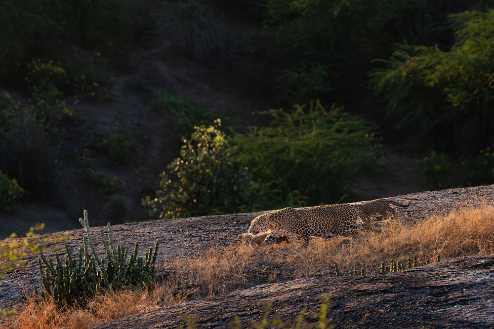 Photograph by Taraknath Karmakar