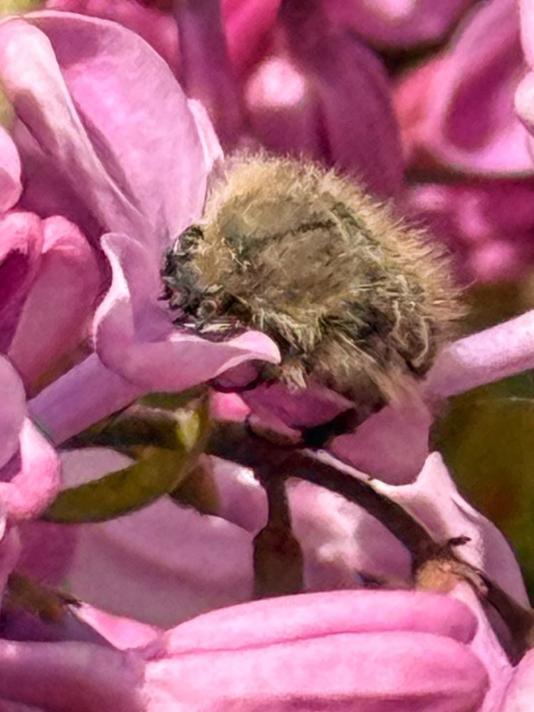 Photograph by Ирина Голомб