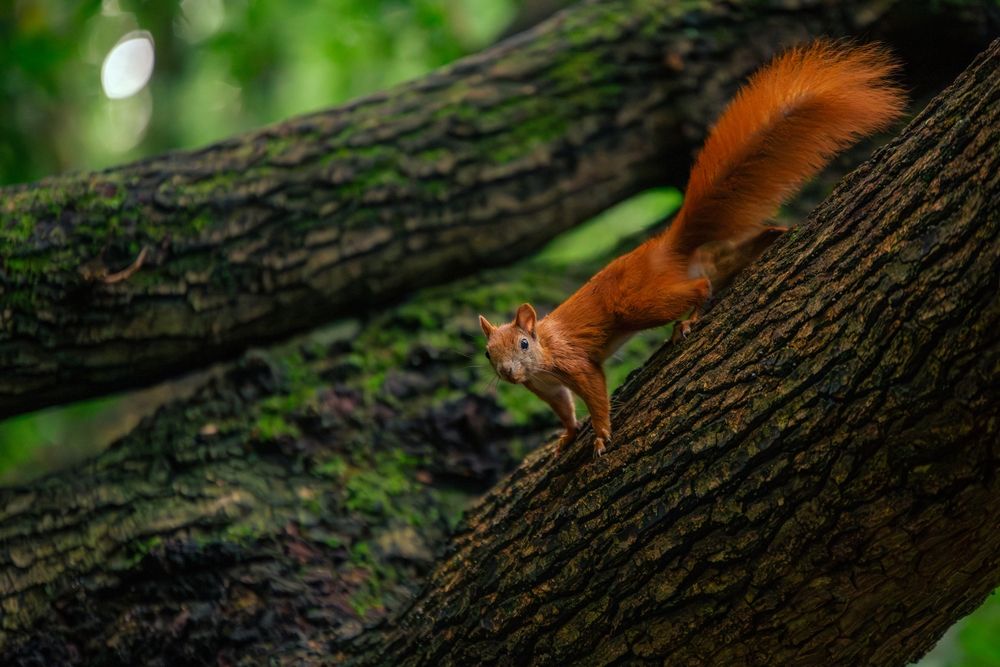 Photograph by Wioletta Kubisiak