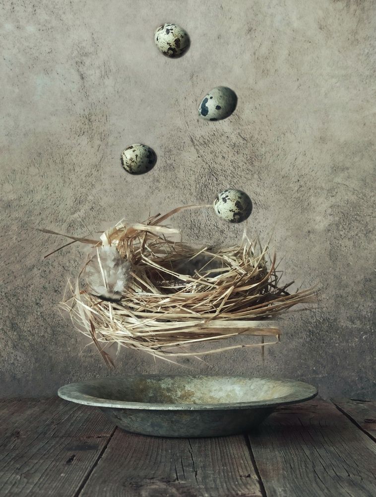 Photograph by Elena Novikova