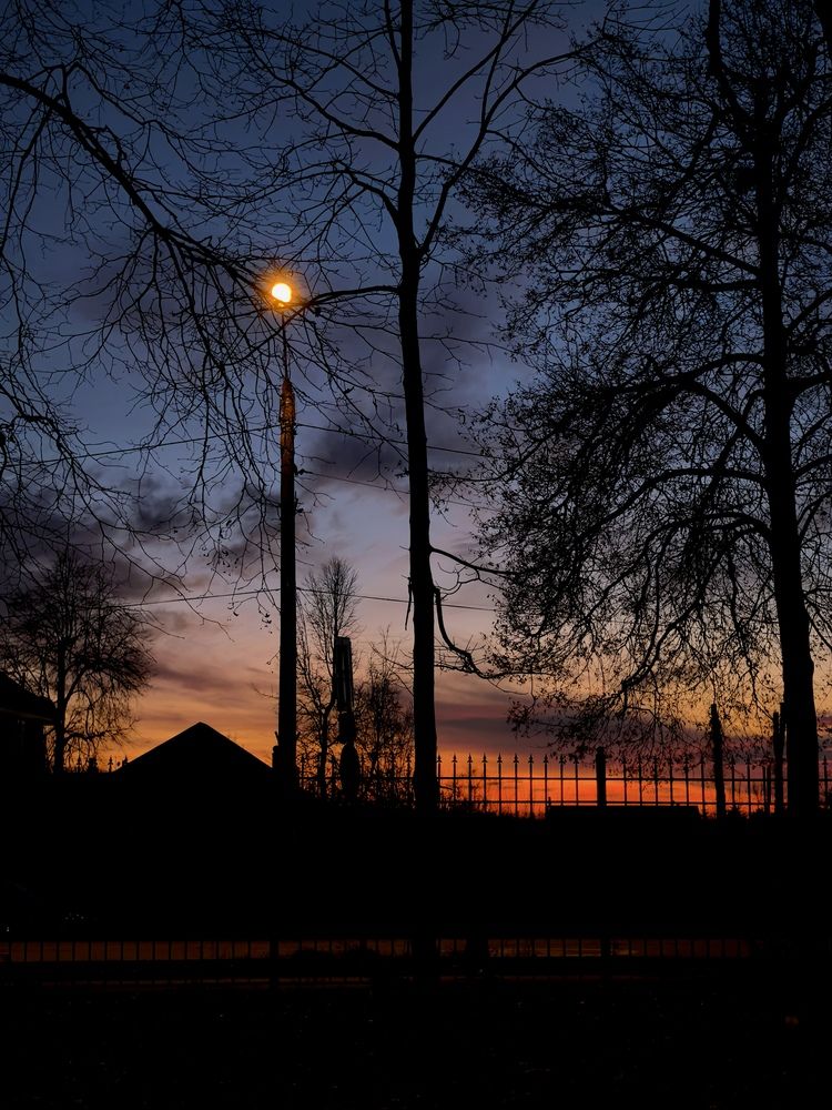 Photograph by Елена Терехова