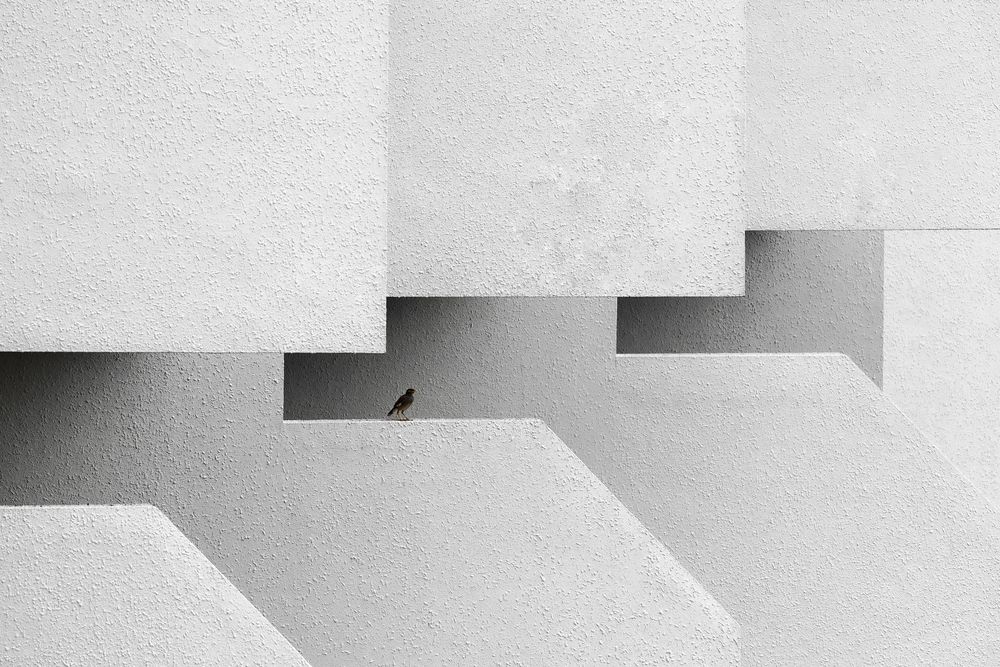 Photograph by Ni Bruce