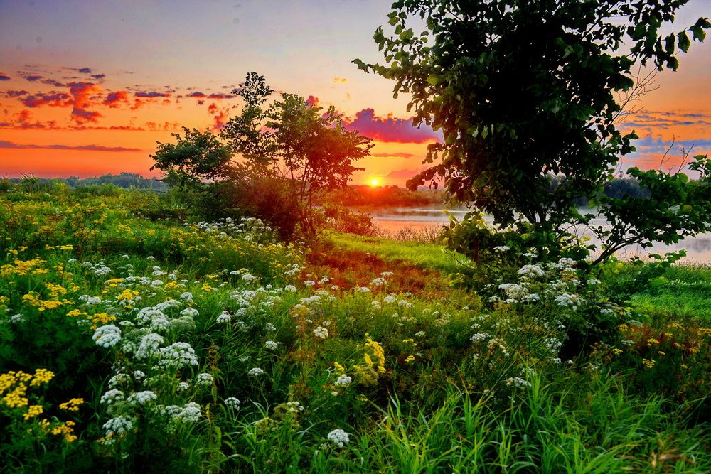 Photograph by Валерий Толмачев