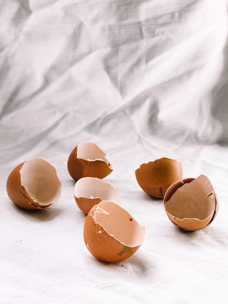 Фотография автора Анна Ворончихина