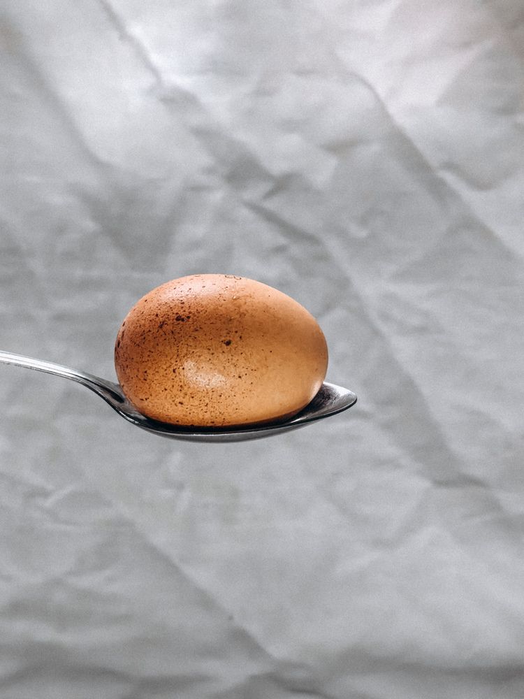 Фотография автора Анна Ворончихина