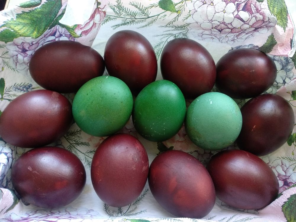 Photograph by Елена Охапкина