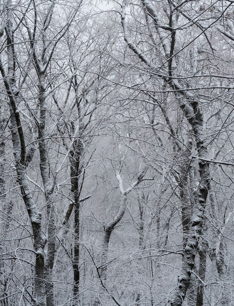Photograph by Сергей Кошин