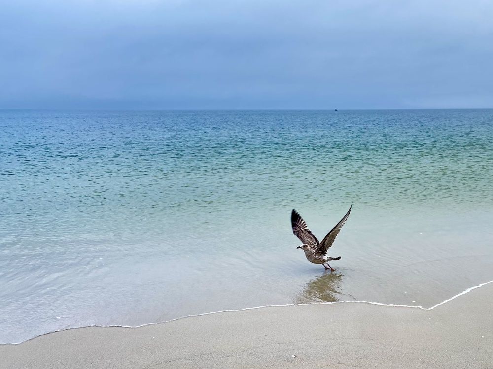 Земля отпускает, а небо принимает