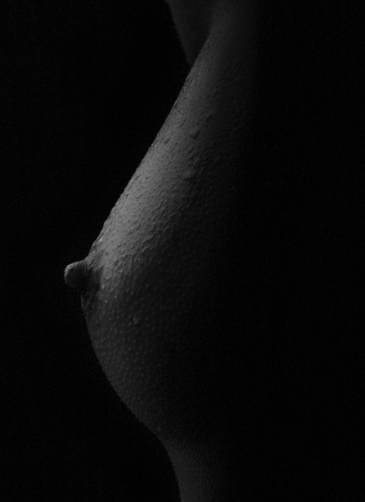 Фотография автора Mojtaba Chenari