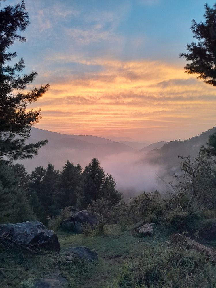 Photo #12925590