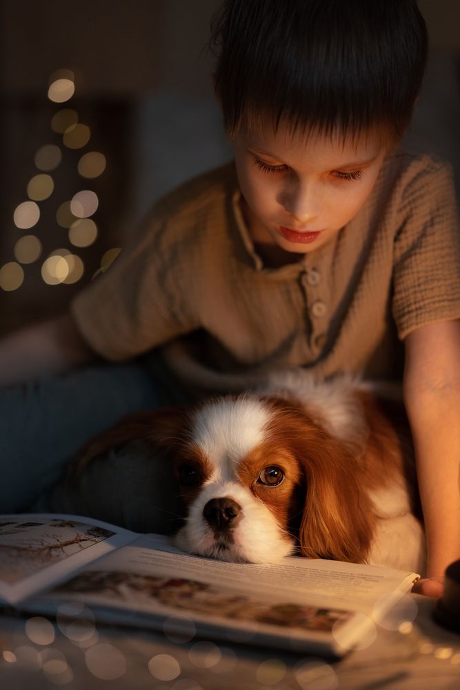 Photograph by Кончакова Дарья