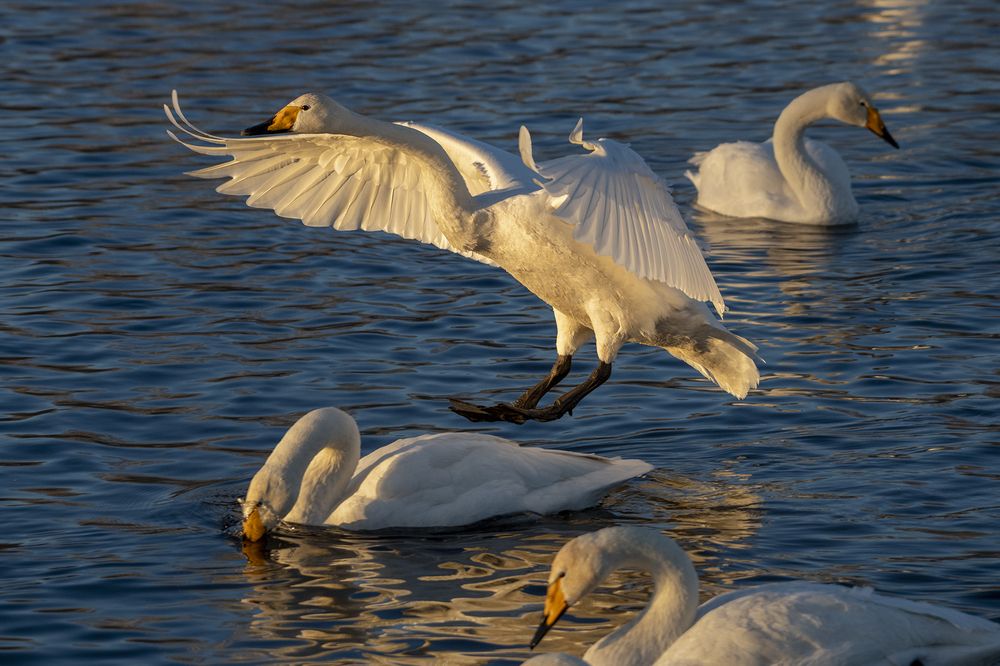 Photograph by Евгений Санин