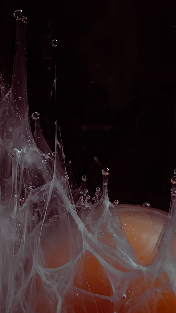 Photograph by Iryna Usanova