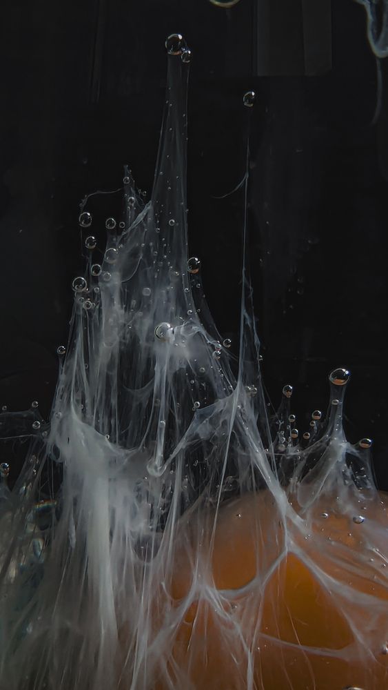 Photograph by Iryna Usanova