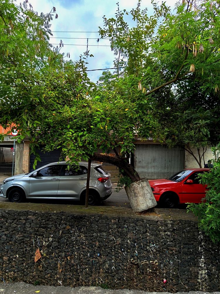 Photo #12926207