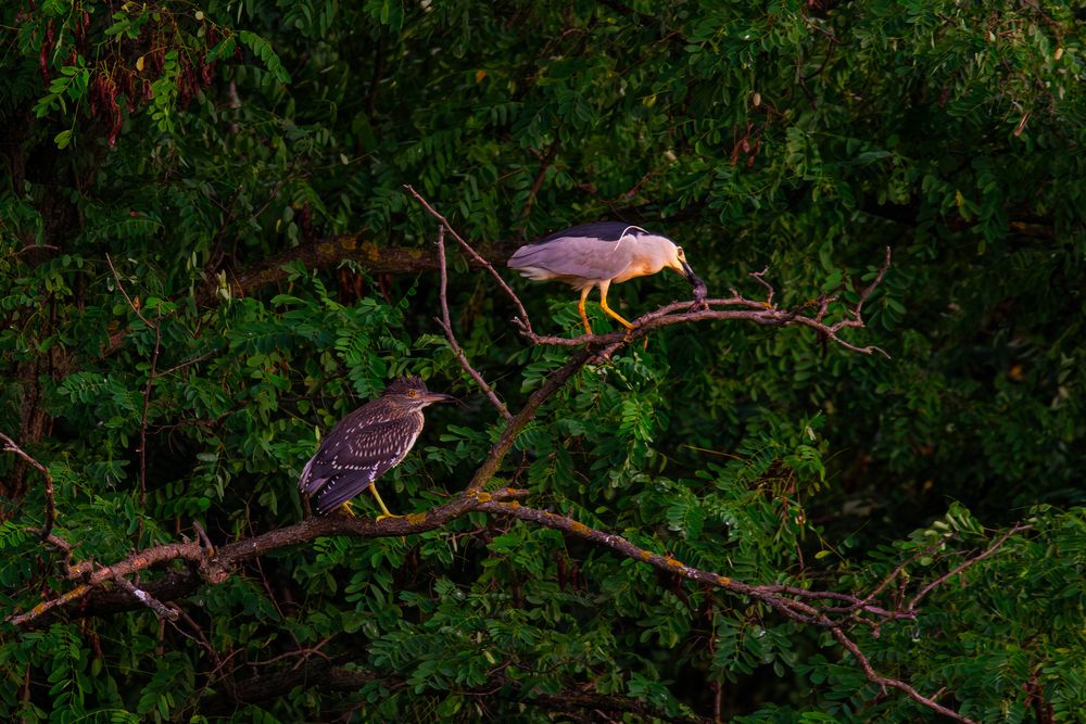 Photograph by Wioletta Kubisiak