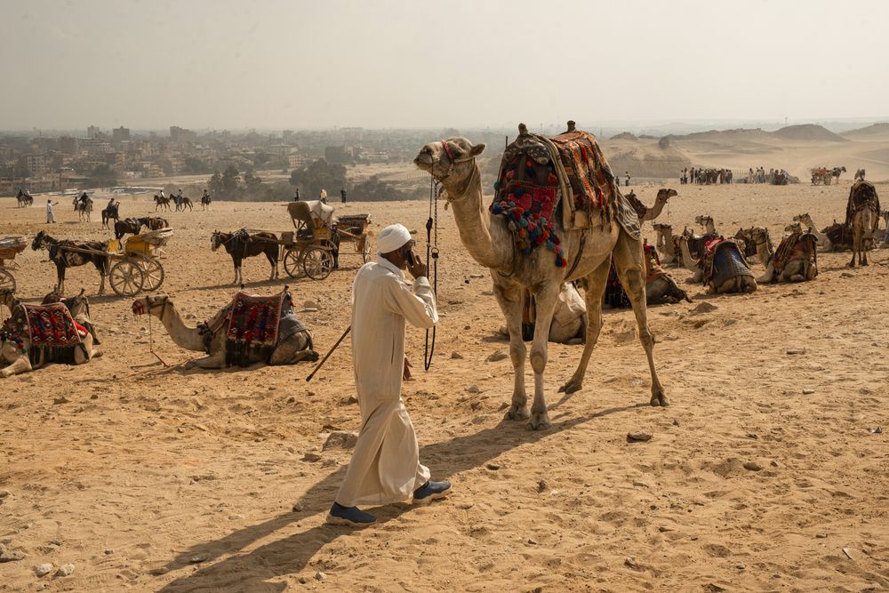 Photograph by Екатерина Григорьева