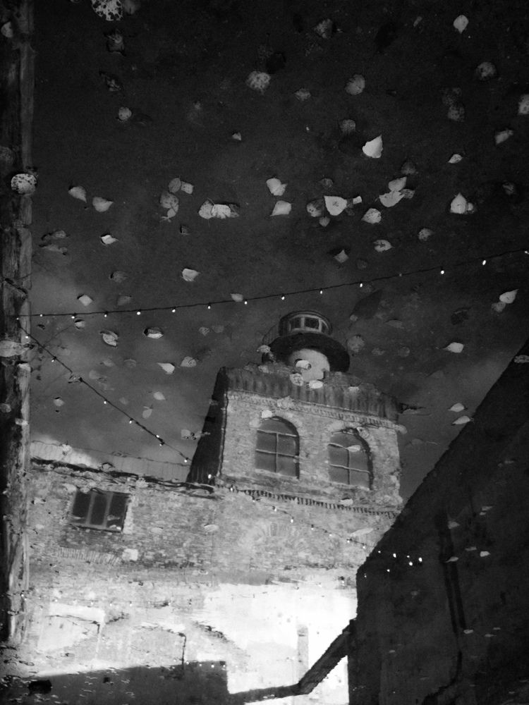 Фотография автора Мария Тюрина