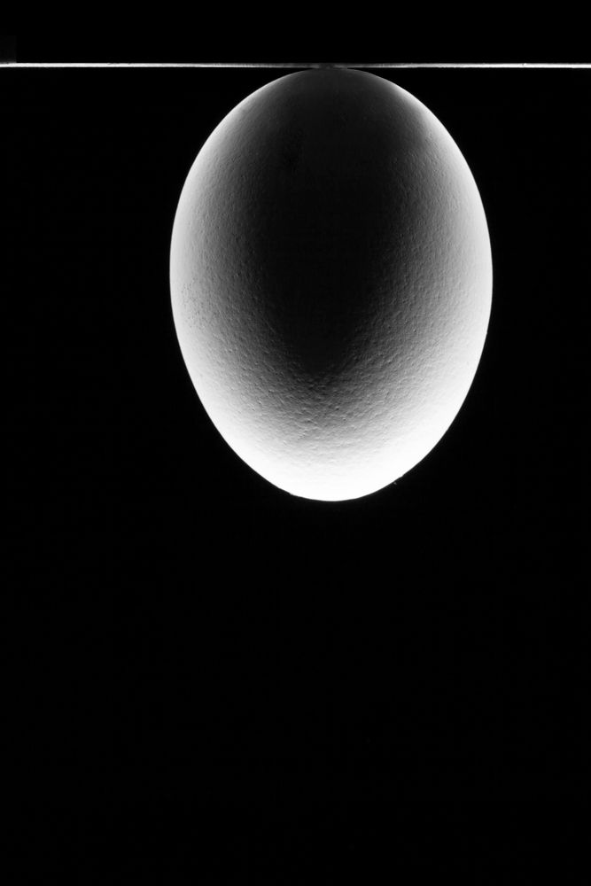 Photograph by Денис Дорошенко