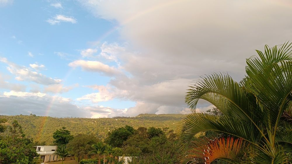 Photograph by Manuel Gutierrez