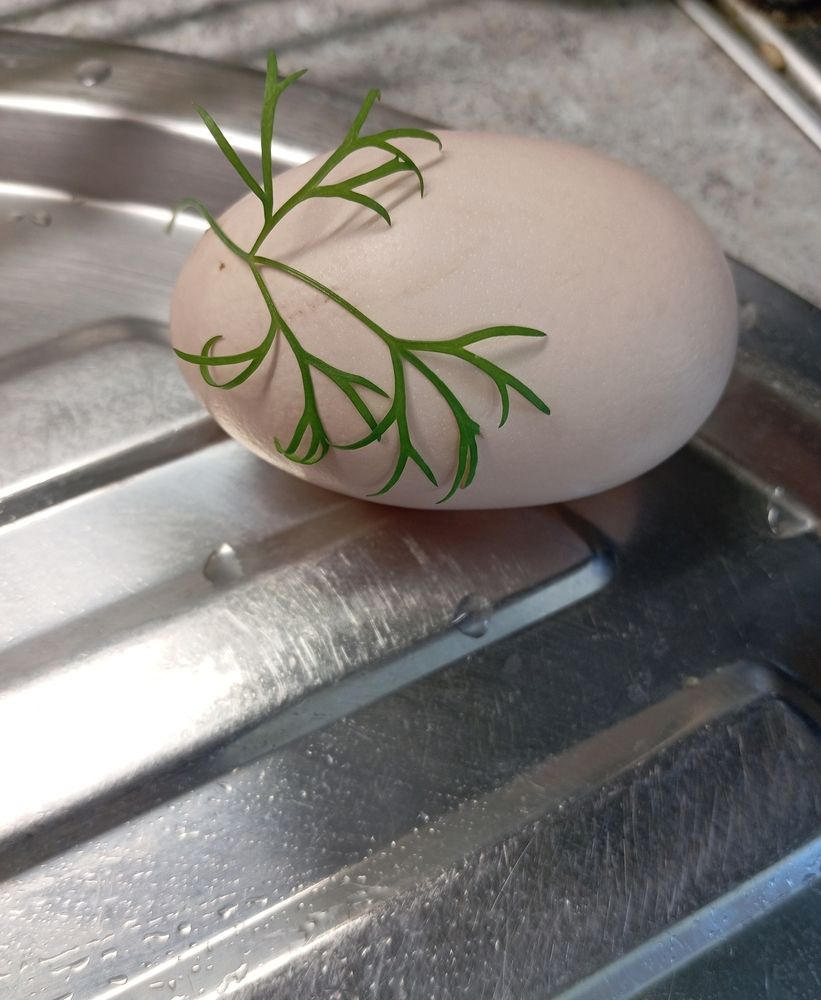 Photograph by Елена Коробченко