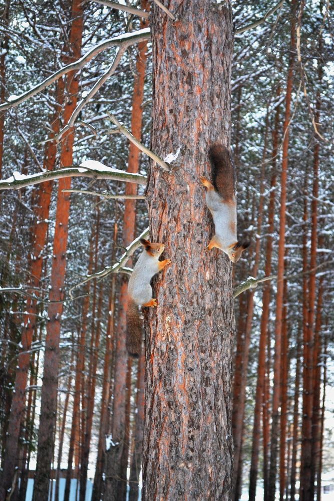 Photograph by Владислав Павлинов
