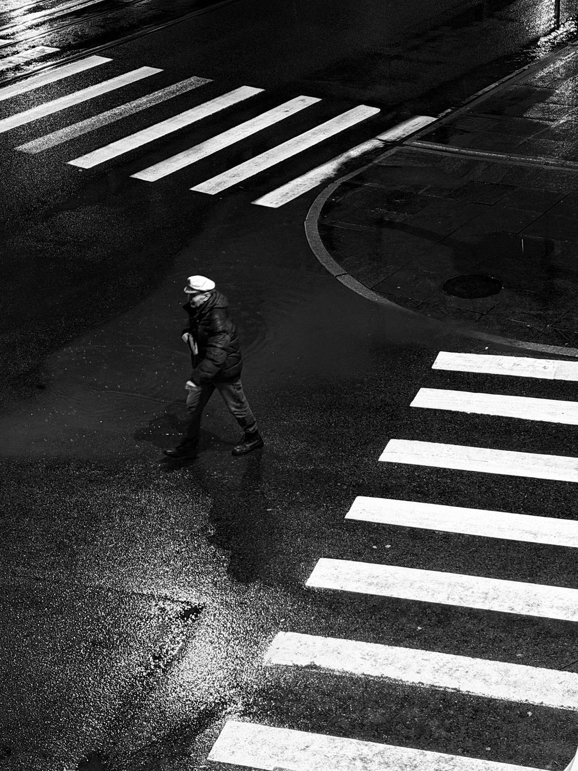 Photo #12926691