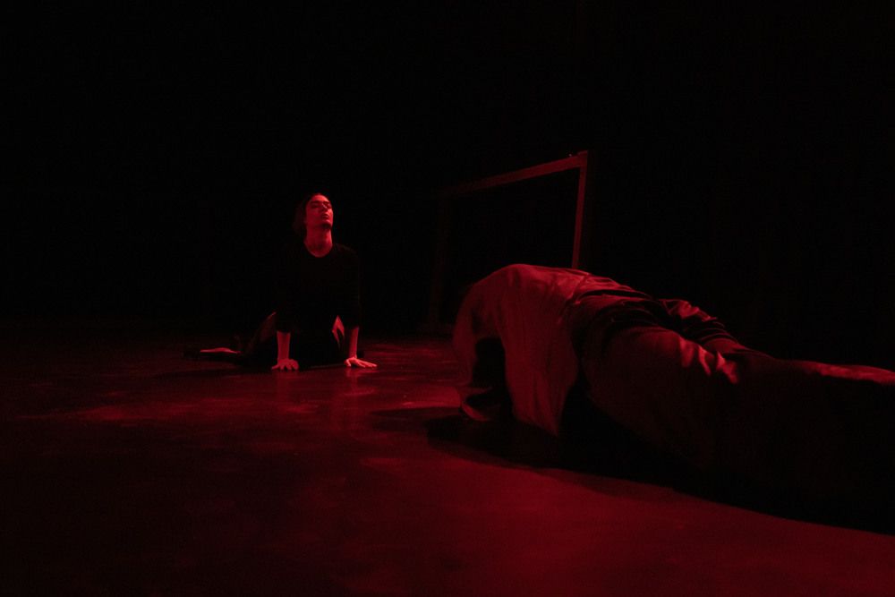 Photograph by pooya hajirahimi