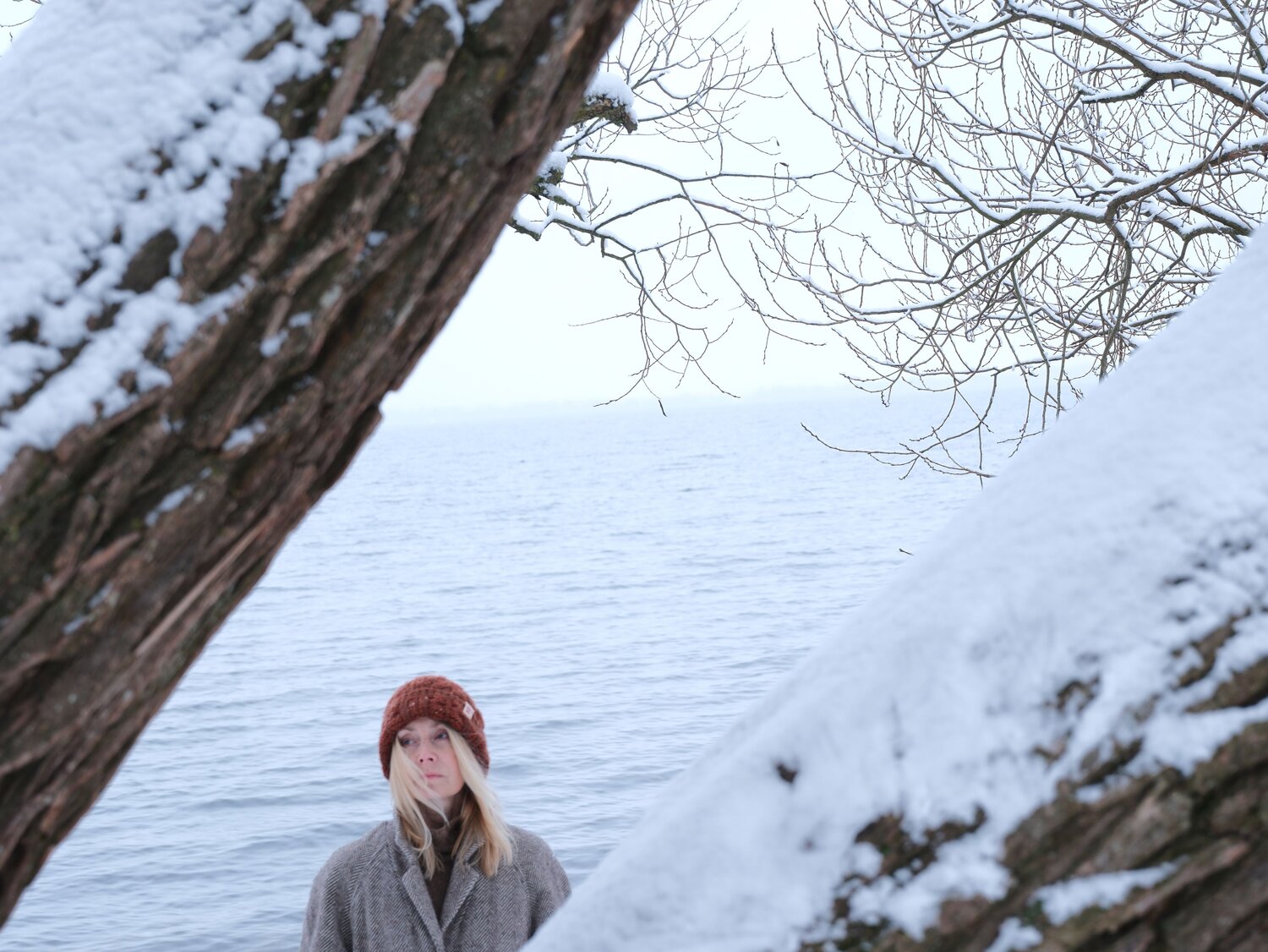 Photo #12926836