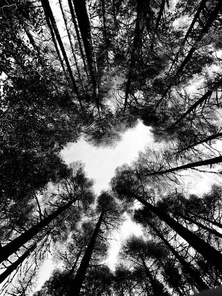 Photograph by Ahmad LOUKILI