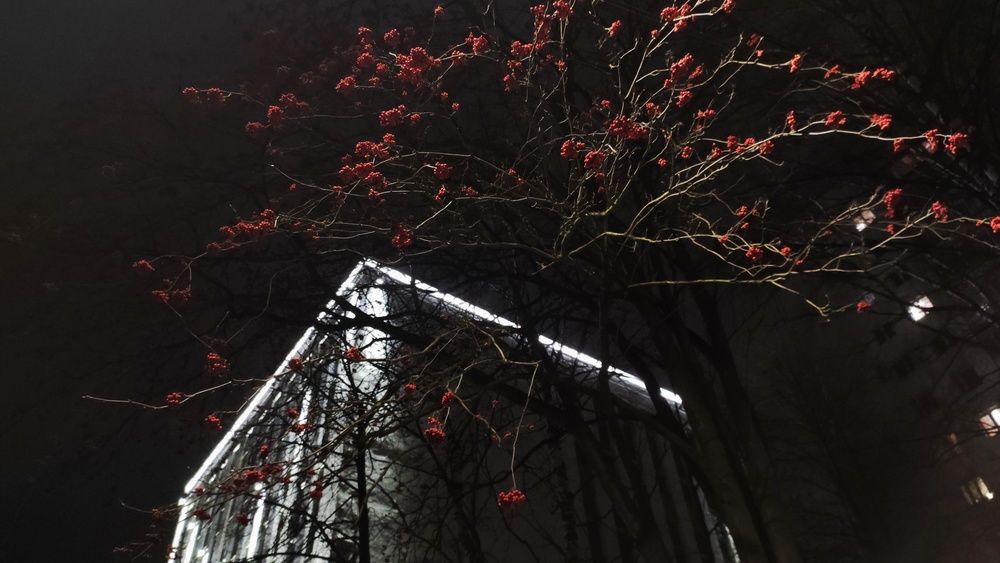 Photograph by Калюнова Наталья