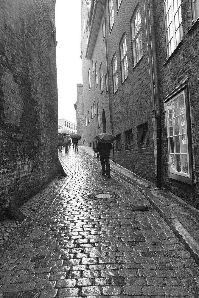 Photograph by Владимир Арбесман