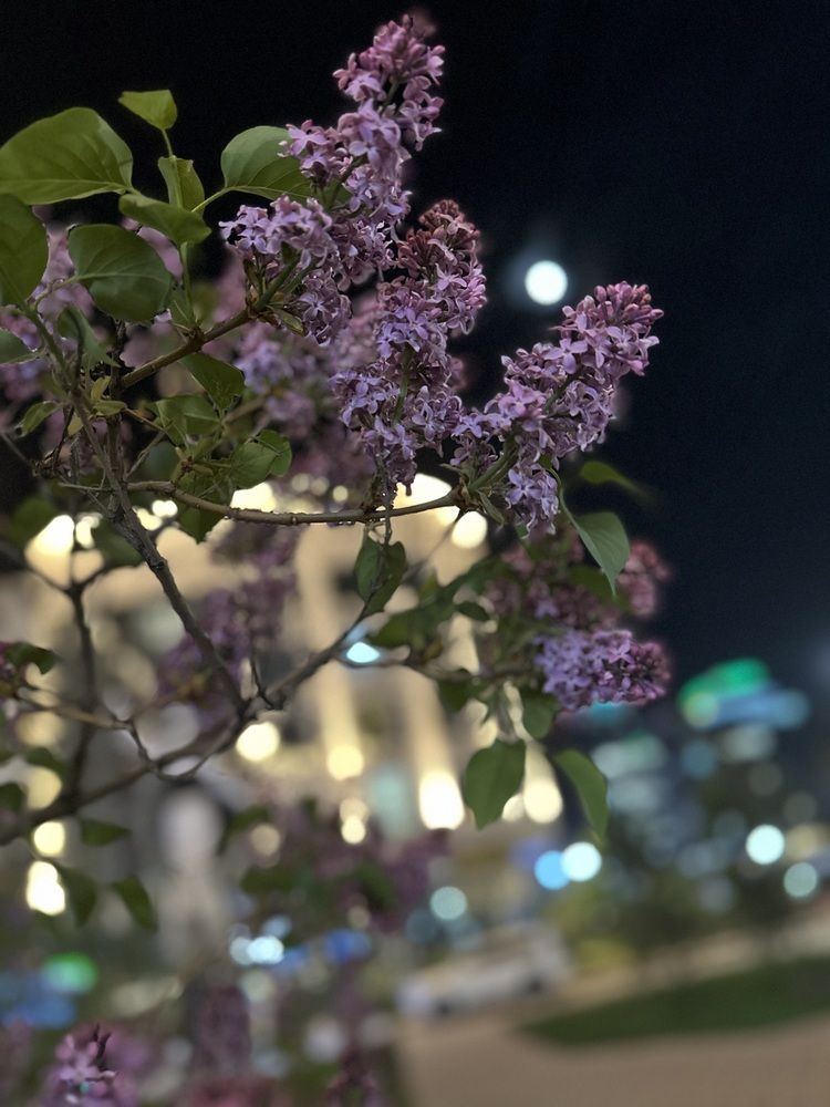 Photograph by Майра Али
