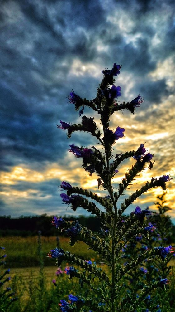 Photograph by Анна Павлова