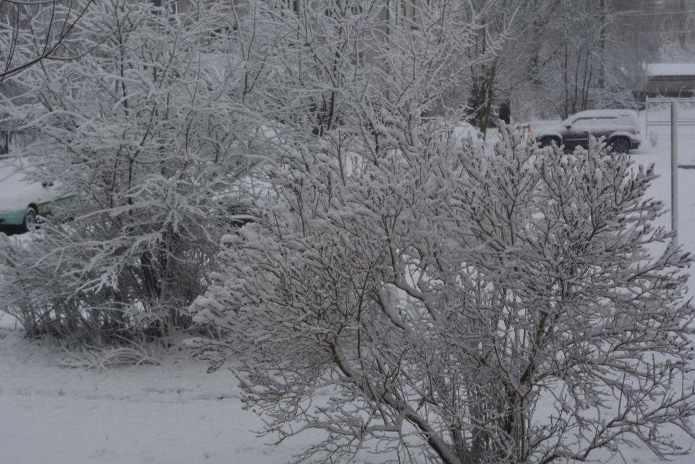 Photograph by Александр Борисович Шкурат