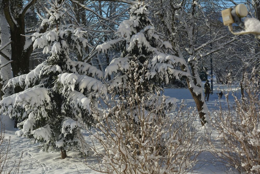 Photograph by Александр Борисович Шкурат