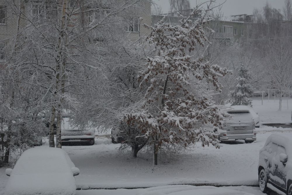 Photograph by Александр Борисович Шкурат