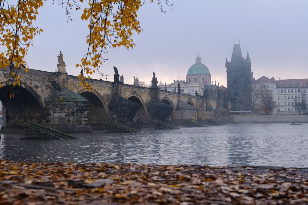 Photograph by Elena Dzasokhova