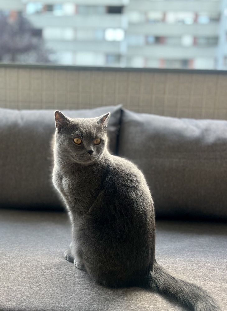 Pablo
