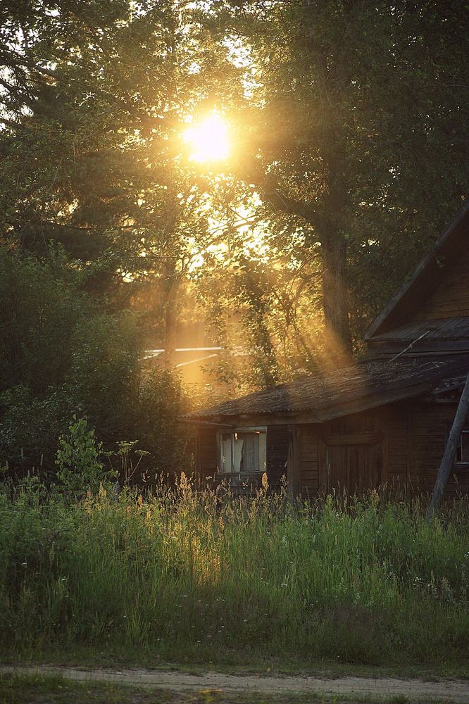 Photograph by Татьяна Журавлева