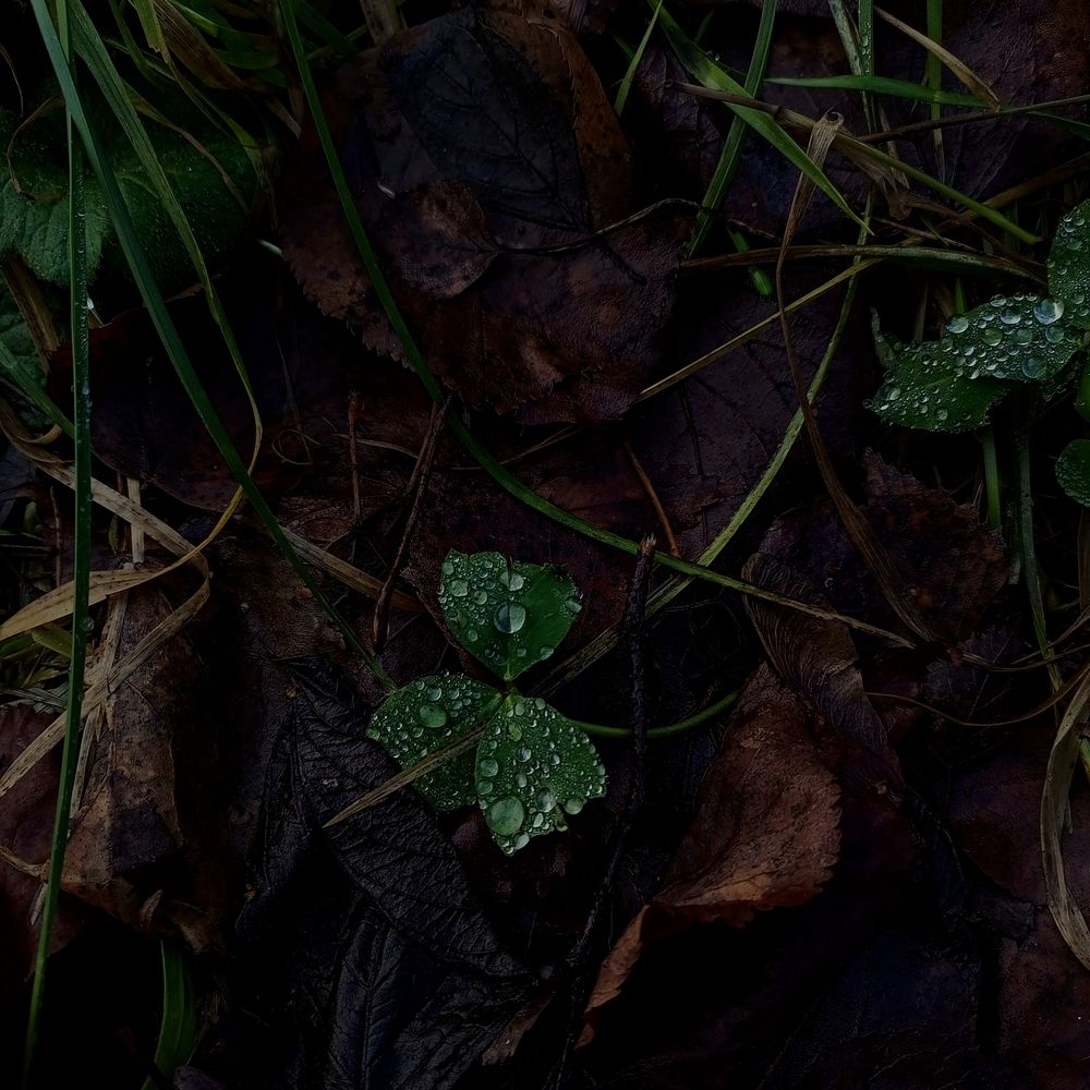 Photograph by Eli Arzimanova