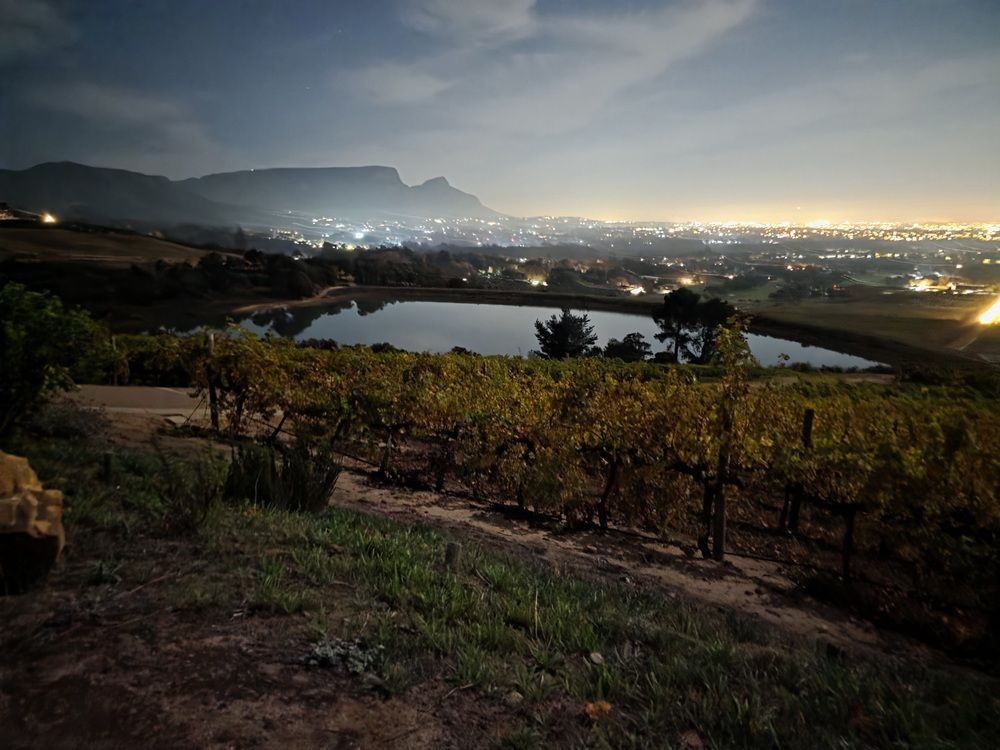 Photograph by Nancy Scholtz