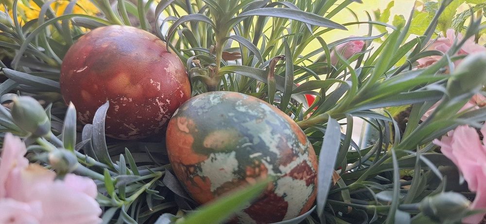 Photograph by Emil Zivanov