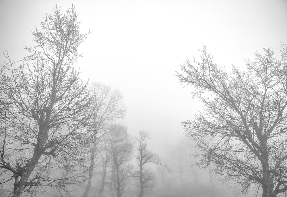 Photograph by Aftab60