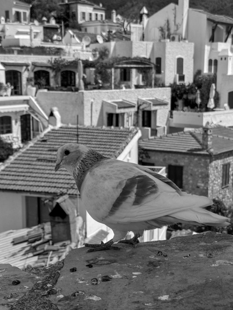 Photograph by Olga Parkhimovich