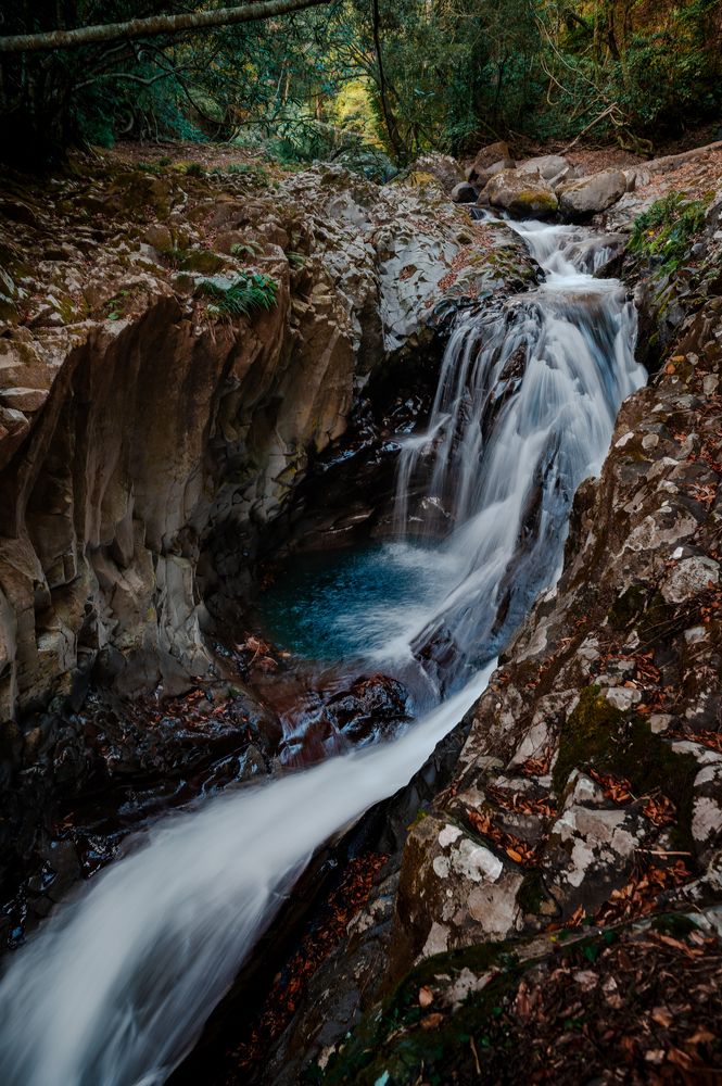 Фотография автора Uesan Aliace