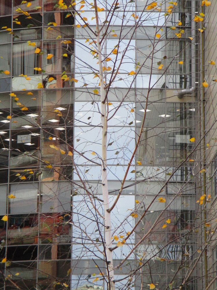 Photograph by Алексей Банных